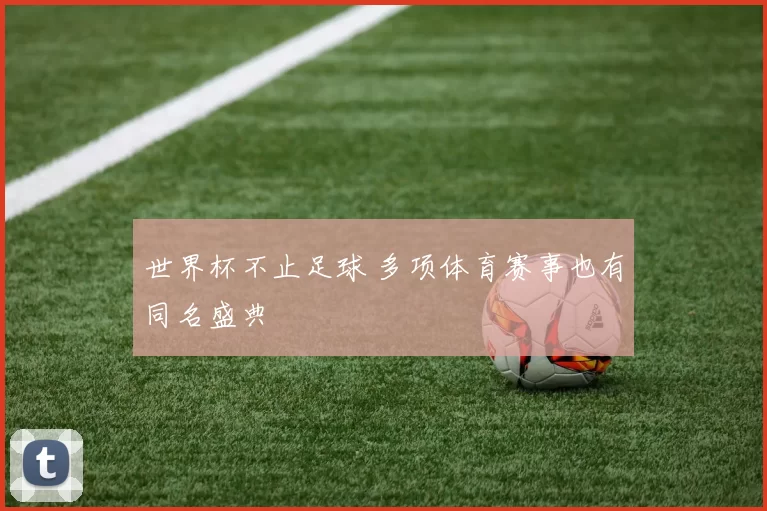 世界杯不止足球 多项体育赛事也有同名盛典