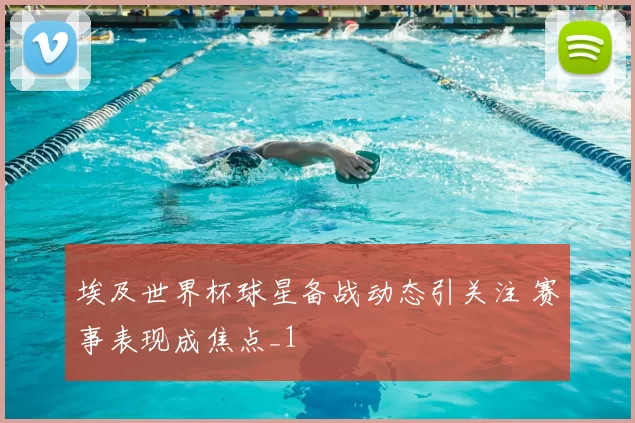 埃及世界杯球星备战动态引关注 赛事表现成焦点_1