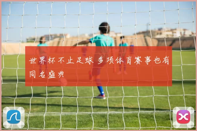 世界杯不止足球 多项体育赛事也有同名盛典