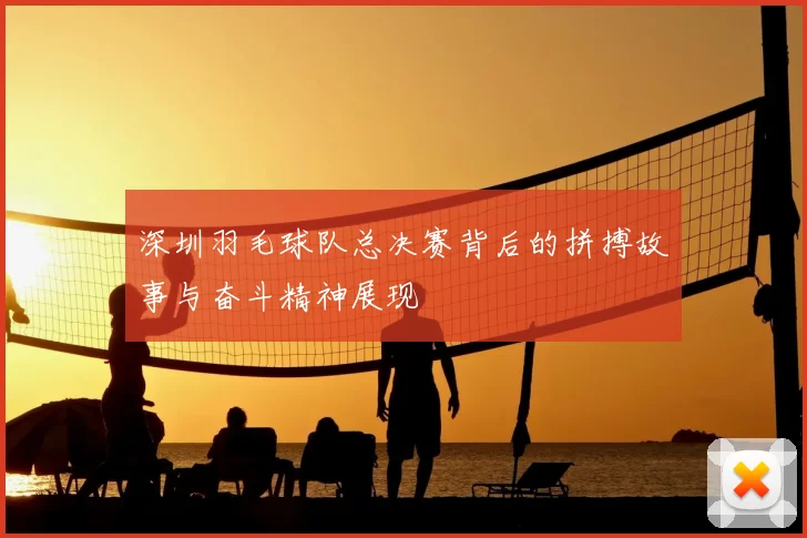 深圳羽毛球队总决赛背后的拼搏故事与奋斗精神展现