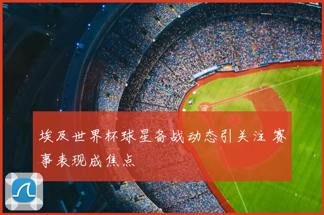 埃及世界杯球星备战动态引关注 赛事表现成焦点