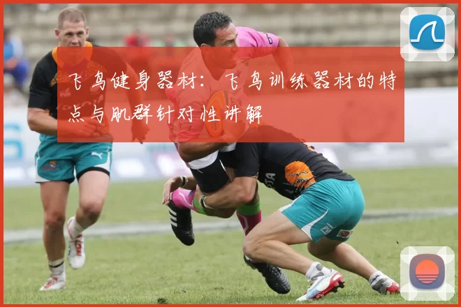 飞鸟健身器材:飞鸟训练器材的特点与肌群针对性讲解