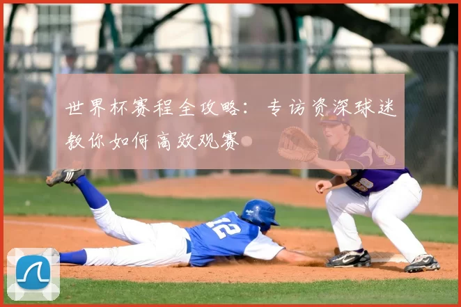 世界杯赛程全攻略:专访资深球迷教你如何高效观赛