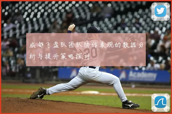 成都飞盘队团队协作表现的数据分析与提升策略探讨