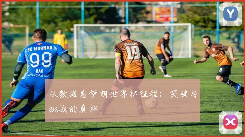 从数据看伊朗世界杯征程:突破与挑战的真相